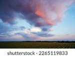 Overcast sky with pink clouds after sunset. Scenic image of textured sky. Perfect summertime wallpaper. Evening sky pattern. Photo of dramatic evening light.