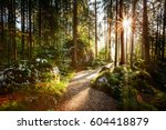 Magical scenic and pathway through woods in the morning sun. Dramatic scene and picturesque picture. Wonderful natural background. Location place Germany Alps, Europe. Explore the world