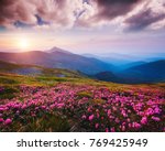 Awesome alpine valley in warm light. Location Carpathian national park, Ukraine, Europe. Picture of a wild area. Scenic image of botanical concept. Violet toning effect. Discover the beauty of earth.
