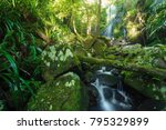 Chalahn Falls on Toolona Creek Circuit in Lamington National Park, Gold Coast, QLD, Australia
