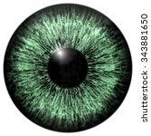 Illustration Of Green Eye Iris  ...
