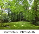 Small photo of Sunny view of a green scenic near Okochi Sanso Garden at Kyoto