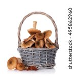 Autumn Mushrooms Basket....