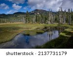 Landscape at Forbidden Plateau, Mount Washington ski area, Paradise Meadows Hike, Strathcona Provincial Park, Comox Valley Regional District, Vancouver Island, British Columbia, Canada