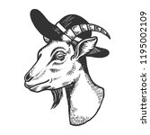 goat inbroad brim hat engraving ... | Shutterstock . vector #1195002109