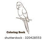Parrot Cartoon Coloring Book...