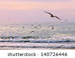 Gulls On The Beach. Seascape.