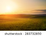 Green field and beautiful sunset