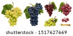 Wine Grapes  Table Grapes....