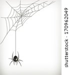 spider web  bitmap copy | Shutterstock . vector #170962049