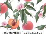 peaches  fruit flowers and... | Shutterstock .eps vector #1972311626