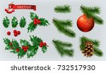 christmas decorations. holly ... | Shutterstock .eps vector #732517930
