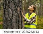 forest inspection and management, renewable resources. female forestry technician checking quality of pine tree