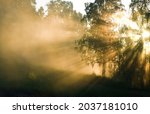 Small photo of Celestial beauty is inexpressible in words. Rays of morning sun break through branches of trees and loom in waves of fog. Such rays gave to idea of divine crown (aureole, seven rays of divine light)