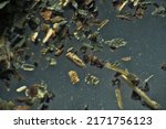 Small photo of Herb repertory (dry vulnerary plants), officinal mixture for herbal tea. Mixture Melissa officinalis (extreme close up). Means of folk medicine, pharmacy
