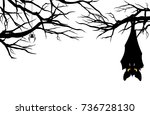 halloween theme evil bat... | Shutterstock .eps vector #736728130