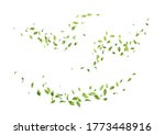 flying green leaves. set of... | Shutterstock .eps vector #1773448916