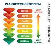 Classification System Vector...
