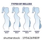 types of bellies with abdominal ... | Shutterstock .eps vector #1956269809