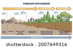 primary succession and... | Shutterstock .eps vector #2007649316
