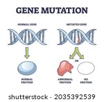 Gene Mutation Models Comparison ...
