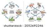 food chain vs food web as... | Shutterstock .eps vector #2052692246