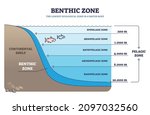 Benthic Zone In Ocean As Lowest ...