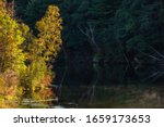 Leafy trees in bright morning sunlight on one side of a lake still in shadow on the other side in a county park in southern Wisconsin, USA, early morning in autumn, with digital oil-painting effect