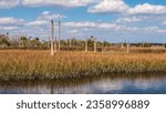 Small photo of Coastal marshland with dead remnants of trees, much like a ghost forest, poisoned by salt in rising levels of brackish tidewater in a Florida nature preserve along the Atlantic Intracoastal Waterway