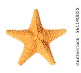 Caribbean Starfish Isolated On...