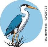 Blue Heron hunting and stalking image - Free stock photo - Public ...