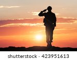 Silhouette of a soldier...