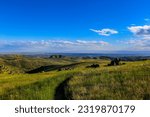 Small photo of Hawkins Range Reserve in the Boise foothills, Idaho