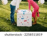 Small photo of Couple of man and pregnant woman holding a box with pink or blue balloons at a gender reveal party.