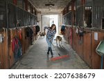 Young Woman Sweeping Stable's...