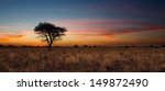 Lovely Sunset In Kalahari With...