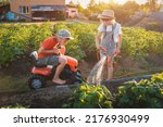 Small photo of Sibling children frolic splashing with a water hose in the backyard in the garden on summer holidays in the village on a hot day. Friends fun, pedal tractor