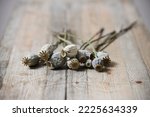 dried poppy seed heads on wooden table 