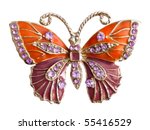 Jewelry Butterfly Isolated On...