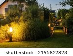 Elegant Illuminated by LED Lights Residential Backyard Garden with Mature Decorative Grasses. 