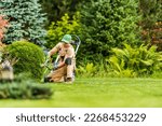 Small photo of Professional Gardener Shaping Green Shrub with Garden Scissors During Landscape Maintenance Work. Blurred Background with Copy Space.