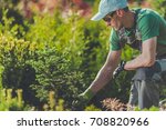 Gardener planting new trees in...