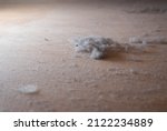 Small photo of Dust nad Dirt on a Wooden Floor. Dirty Floor under Bed. Colonies of Dust Bunnies Underneath. Under Bed Floor Duster. Untidiness House.