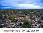 Small photo of The Vast Sonora desert in central Arizona USA on a early Spring morning