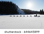 Dog team pulling sled with musher, contender in Yukon Quest 1,000 Mile International Sled Dog Race in beautiful Yukon Territory, Canada, winter snow landscape