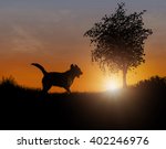 Silhouette Of A Large Dog...
