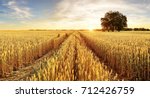 Tree And Wheat Field