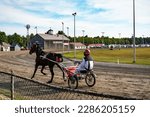 Small photo of Jockey and horse. Trotting horse race. Race in harness with a sulky or racing bike. Harness racing. Trotting horse race.