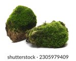 Green moss on stone isolated on white  