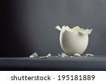 broken egg isolated on gray... | Shutterstock . vector #195181889